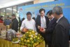 Ba năm, Hà Tĩnh có 800 thương hiệu được xác lập quyền sở hữu trí tuệ