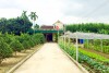 Hà Tĩnh thưởng 45,5 tỷ đồng các xã đạt chuẩn nông thôn mới đợt III/2018