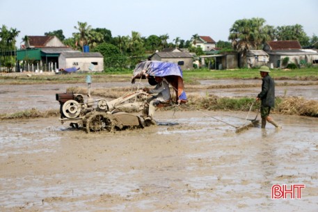 Chạy đua thời vụ, nông dân Hà Tĩnh tất bật sản xuất lúa hè thu