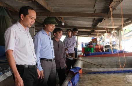 Thạch Hà: 31 ý tưởng đăng ký tham gia Chương trình OCOP