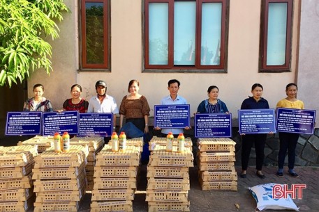 15.000 con gà giống được trao cho các hộ dân ở Thạch Hà