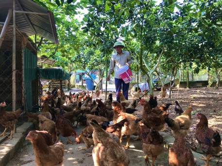 Tấm gương cựu chiến binh vượt khó làm kinh tế giỏi