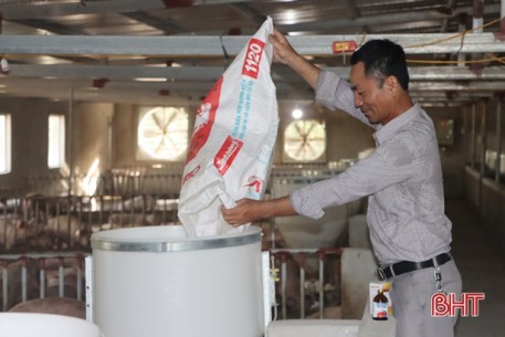 Bươn chải xứ người, gom ngoại tệ về Hà Tĩnh nuôi cả nghìn con lợn