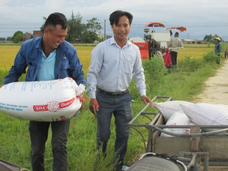 Thạch Hà đẩy nhanh tiến độ thu hoạch lúa Hè Thu