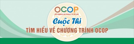Hà Tĩnh tổ chức Cuộc thi tìm hiểu Chương trình OCOP trên mạng Internet