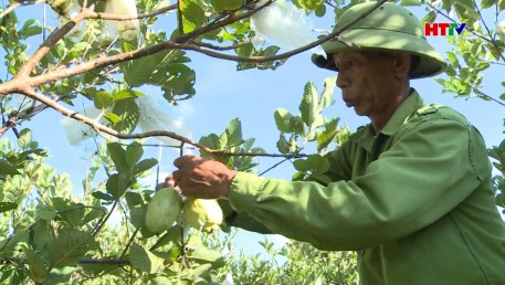Ông Nguyễn Đình Hạnh thành công trong việc đưa vườn ra đồng