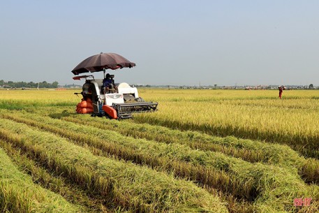 Vụ hè thu 2020 - “khúc hoan ca” trên đồng ru