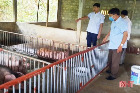 Tăng khả năng phòng vệ trước dịch tả lợn châu Phi ở huyện miền núi Hà Tĩnh