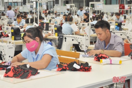Hà Tĩnh thành lập mới 555 doanh nghiệp, tổng vốn đăng ký hơn 5.000 tỷ đồng