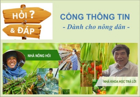 Gà bị chết bất thường