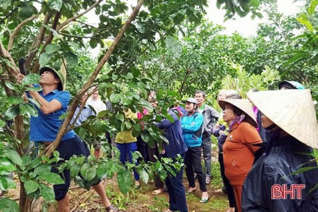Người dân Hà Tĩnh tập trung khắc phục hậu quả lũ lụt, ra quân làm nông thôn mới