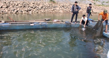 Nuoi trong thuy san
