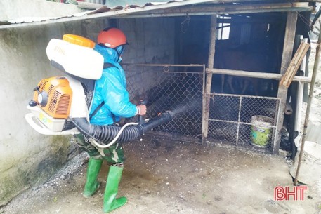 Phòng chống dịch viêm da nổi cục trên trâu bò ở Hà Tĩnh khó khăn hơn khi tết cận kề
