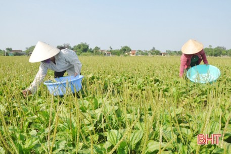 Doanh nghiệp Hà Tĩnh bứt tốc ngay tháng đầu năm mới