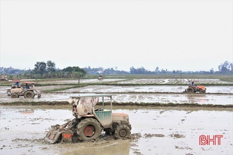 Nông dân Hà Tĩnh vững tin bước vào vụ mới