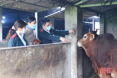 Đảm bảo nguồn thịt an toàn cho thị trường Hà Tĩnh