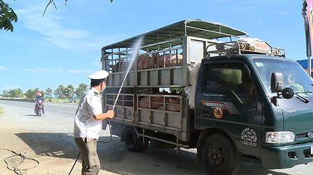 Tăng cường kiểm tra, xử lý vận chuyển, buôn bán, giết mổ lợn nghi mắc bệnh, lợn bệnh, lợn chết