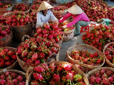 Từ một nền sản xuất nông nghiệp sang một nền kinh tế nông nghiệp