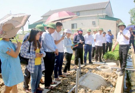 Giải pháp xử lý nước thải sinh hoạt nông thôn
