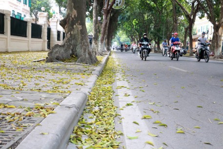 Từ Thanh Hóa đến Thừa Thiên - Huế nhiều mây, có mưa vài nơi