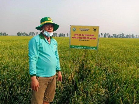 Tổng kết mô hình canh tác lúa thông minh thích ứng với biến đổi khí hậu vụ Đông Xuân năm 2020 – 2021 tại Đồng Tháp
