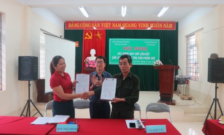 Thái Nguyên: Xây dựng quy chế liên kết sản xuất tiêu thụ chè an toàn