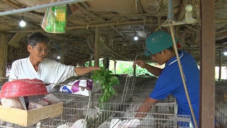 Nuôi thỏ lãi trên 100 triệu đồng/năm