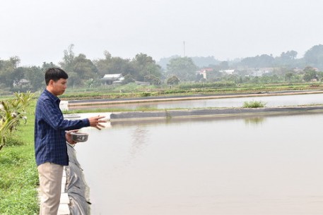 Đổi đời nhờ nuôi cá giống