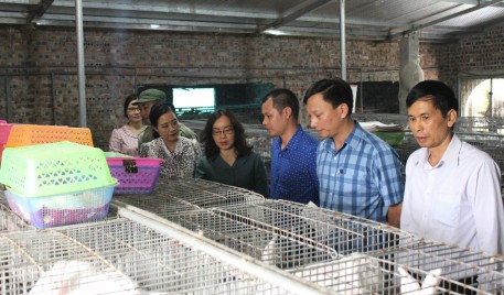 Nỗ lực xây dựng nông nghiệp thịnh vượng, nông dân giàu có, nông thôn văn minh