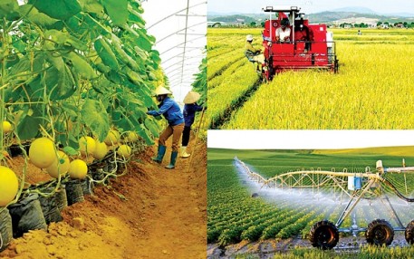 Xây dựng 'hành lang' cho phát triển nông nghiệp