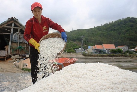 Hướng đi nào cho nghề muối Sa Huỳnh?!