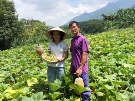 Tuyên Quang: Xã Thiện Kế liên kết trồng bí bao tử