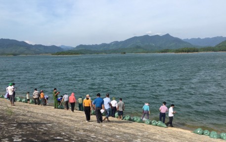 Quảng Bình: Thả hơn 435.000 con giống tái tạo nguồn lợi thủy sản