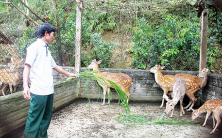 Người nông dân không cam chịu đói nghèo