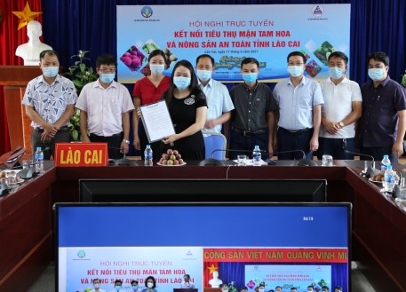 Lào Cai: Hội nghị trực tuyến Kết nối tiêu thụ mận tam hoa và nông sản an toàn