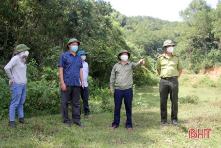 Bảo vệ gần 85.000 ha rừng, Hương Sơn sẵn sàng phương án “4 tại chỗ”