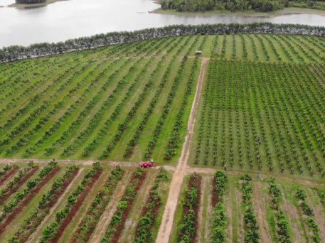 HTX Gia Phúc xây dựng chuỗi liên kết từ sản xuất,sơ chế, bảo quản đến tiêu thụ sản phẩm