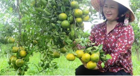 Đắk Nông: Thu nhập hàng tỷ đồng/năm nhờ sản xuất nông nghiệp theo hướng hữu cơ