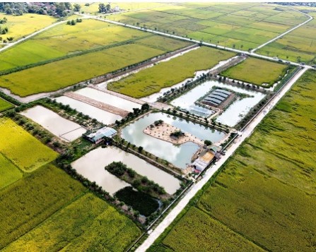 Mô hình“4 tầng nấc”- đi từ ý tưởng đến hiện thực