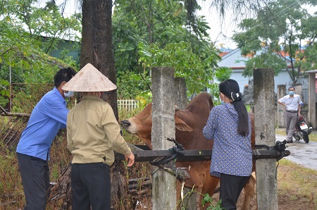 Hà Tĩnh tập trung cao hoàn thành tiêm phòng vắc xin  trên đàn vật nuôi