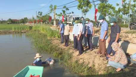 Thả 18 ngàn con cá tại mô hình gắn chuyển đổi ruộng đất với cơ cấu lại cây trồng, vật nuôi