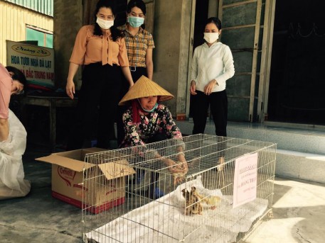Hội LHPN Kỳ Anh lan tỏa hoạt động hỗ trợ mô hình gà sinh kế, và tặng sách vở cho các em học sinh khó khăn.