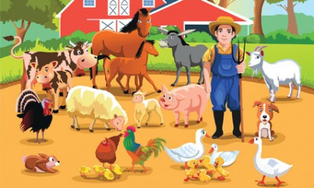 Chăn nuôi nông hộ: Chuyển đổi hợp xu thế