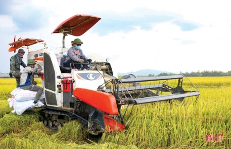 Hà Tĩnh: Những cánh đồng thơm hương mùa gặt...