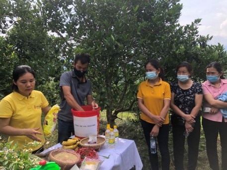Hòa Bình: Hướng tới một nền nông nghiệp sạch