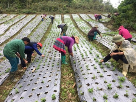 Người cán bộ khuyến nhiệt huyết, trách nhiệm ở xã vùng cao Tả Văn Chư