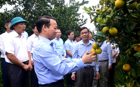 Yên Bái: Phát triển nông nghiệp, nông thôn theo hướng nâng cao chất lượng, hiệu quả và bền vững