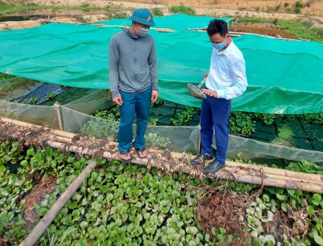 Hội nông dân Đức Thọ: Nhân rộng phong trào nuôi ốc