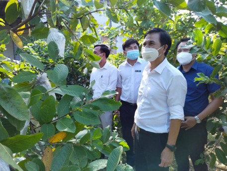Thẩm định kết quả xây dựng NTM nâng cao xã Cẩm Lạc và xã Cẩm Thành