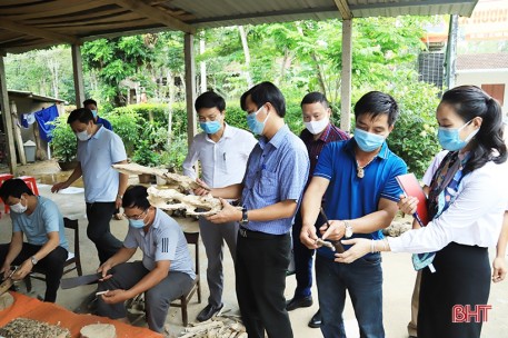 Hà Tĩnh bổ sung 10 sản phẩm tham gia đánh giá, phân hạng sản phẩm OCOP đợt 1/2021
